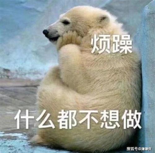 我就是个吃瓜群众图片搞笑,图解网络搞笑瞬间